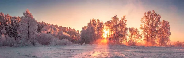 Панорама зимнего природного ландшафта на рассвете. Рождественский фон — стоковое фото