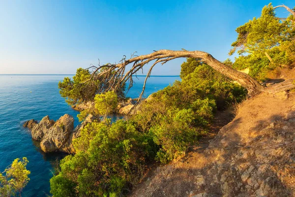 Mediterranean sea nature on summer morning — Stock Photo, Image