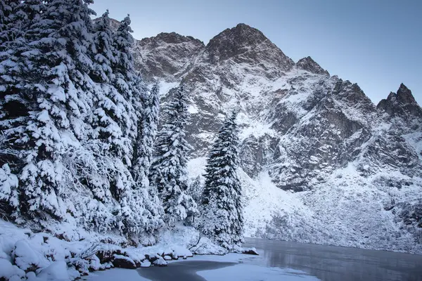 Kış dağlar manzara. Karlı köknar ağaçları ve kayalık dağ. — Stok fotoğraf