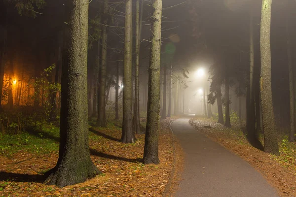 Parque florestal à noite. Caminho no parque com lanternas ao longo do beco . — Fotografia de Stock