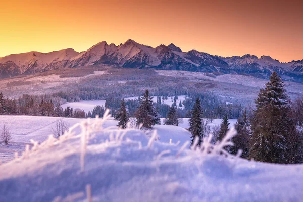 Winter landscape of snowy mountains at sunrise — Stock Photo, Image