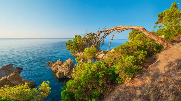 Τοπίο της φύσης στη Μεσόγειο θάλασσα στην ηλιόλουστη μέρα σαφές — Φωτογραφία Αρχείου