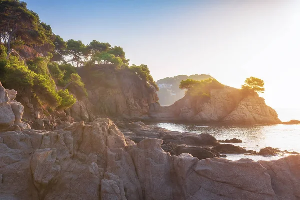 Naturaleza mediterránea española a la luz del sol de la mañana — Foto de Stock