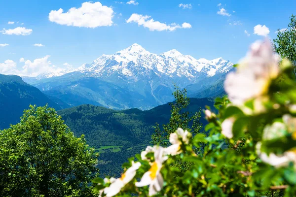 Montañas de primavera paisaje en los Alpes —  Fotos de Stock