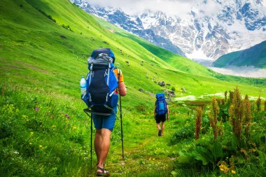 Birkaç genç gezginler Alp Dağları'nda güzel çimenli izinde sırt çantaları ile hiking.