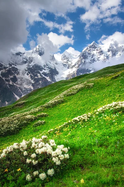 화창한 여름날에 Svaneti 산 — 스톡 사진