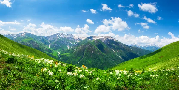 Wunderschöne Berglandschaft in Georgien an einem sonnigen Sommertag — Stockfoto