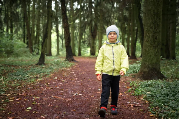 Seorang anak berjalan di jalan hutan di taman . — Stok Foto