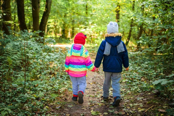 Persahabatan anak. Anak-anak berjalan di taman hutan — Stok Foto