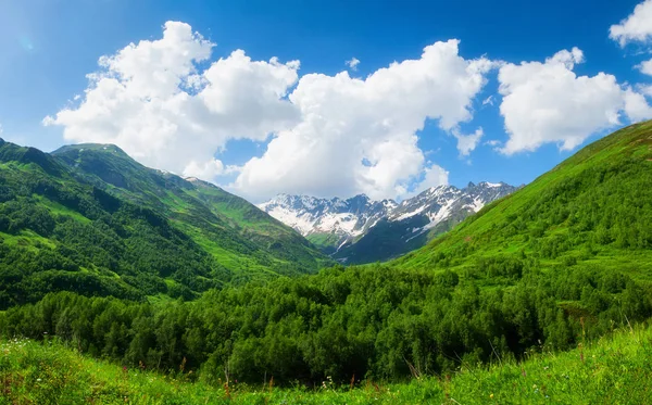 阿尔卑斯山脉景观 — 图库照片