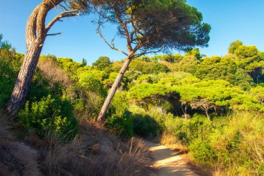 Lloret de Mar, İspanya orman Park Trek hiking.