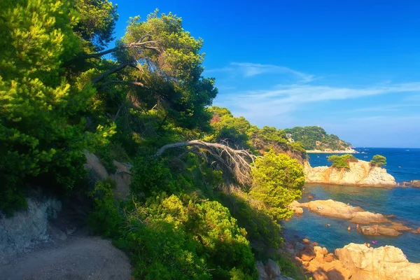 Costa Brava tengerpart délutáni napfény — Stock Fotó