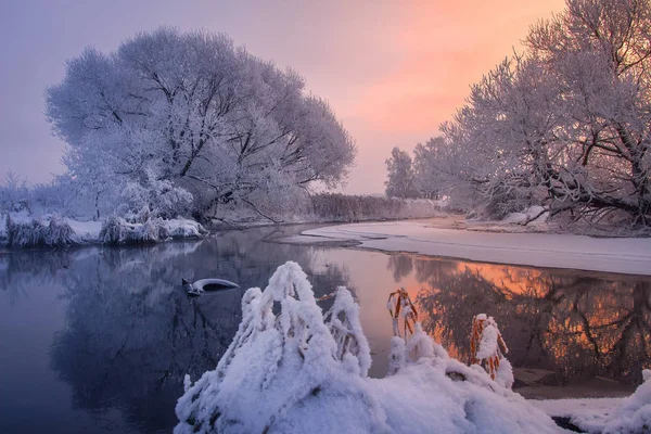 Ranní zimní krajina v slunečním světle — Stock fotografie
