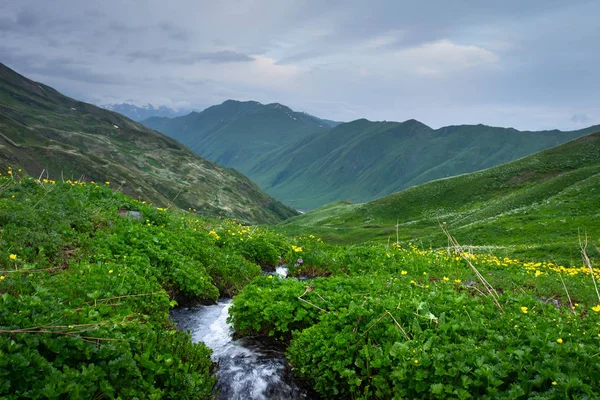 Landschaft Gebirgsbach im Hochland des Kaukasus, svaneti. Natur der Berge in Georgien. — Stockfoto