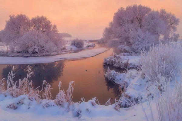 Invierno naturaleza paisaje — Foto de Stock