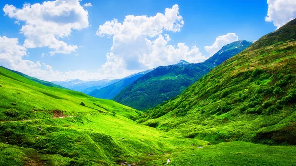 日当たりの良い夏の日に鮮やかな山の風景 — ストック写真