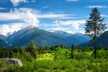 Dağ manzarası. Georgia, Svaneti bölgesi, Ushguli dağlarda güzel görünüm.