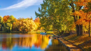 Renkli sonbahar. Lakeside ağaçta doğal sonbahar yatay, çok renkli.