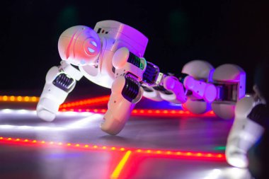 Robot dansı robot Expo Robopolis Minsk, Beyaz Rusya