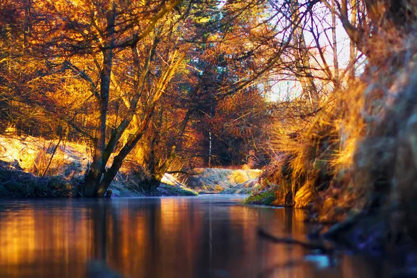 Autumn landscape on calm river — Stock Photo, Image