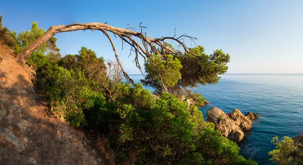 Mediterrán öbölben a spanyol tengerparton. Spanyol tengerzöld — Stock Fotó