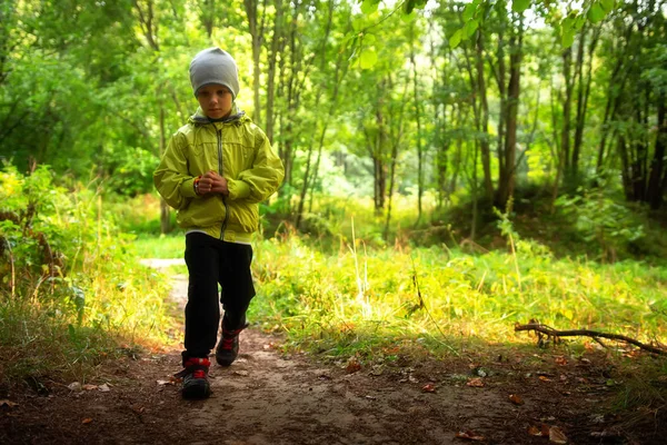 孩子在森林公园单独 — 图库照片