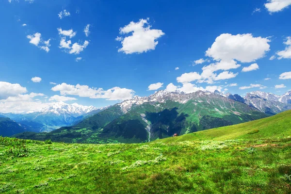 Svaneti verde valle de la montaña en día brillante —  Fotos de Stock