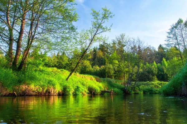 Río Spring. Paisaje verde de la naturaleza en la orilla del río. Ríos escénicos — Foto de Stock