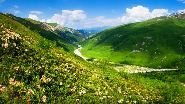 Sommerberge. Berglandschaft an einem sonnigen klaren Tag. grasgrün — Stockfoto