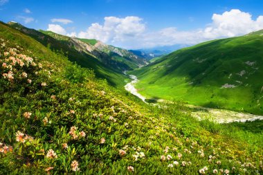 Svaneti, Gürcistan. Yeşil dağlar. Yaz dağ peyzaj üzerinde 
