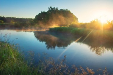 Yaz Nehri. Parlak güneş ile sabah doğa manzara. Sahne 