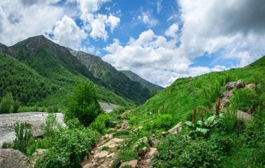 Svaneti Dağları. Kafkaslar dağında tepeler üzerinde yeşil çim. Sv