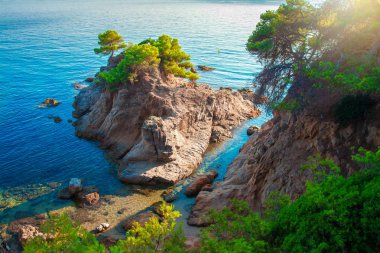 Costa brava seascape. Sea and rocky cliff with tree. Picturesque clipart
