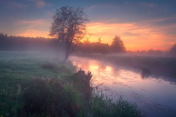 Helle, farbenfrohe Morgendämmerung am Ufer des Flusses. Sommerliche Natur bei Sonnenaufgang. ri — Stockfoto