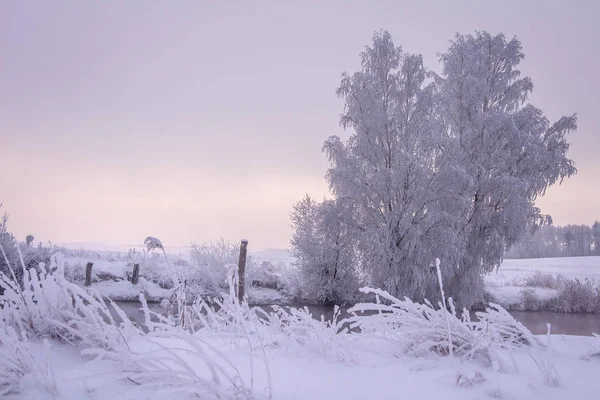 Ein malerischer Winter. schneereicher Winter. Weihnachtlicher Hintergrund. schöner Sieg — Stockfoto