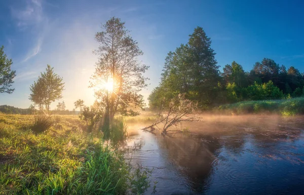 Naturaleza de verano al amanecer. Increíble paisaje fluvial en el sol de la mañana — Foto de Stock