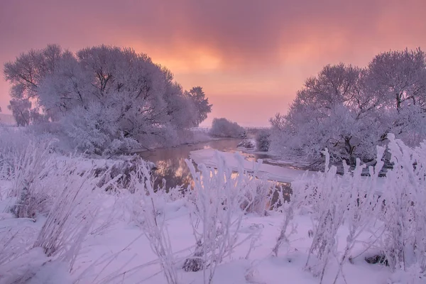 Winter scene at sunrise. Winter nature landscape. Frosty trees o