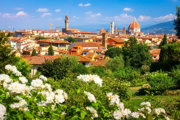 Florença, Itália. Bela vista sobre Firenze no dia ensolarado de verão . — Fotografia de Stock