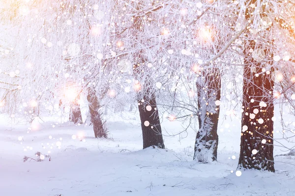 Weihnachtlicher Hintergrund. verschneite Bäume im Winter Szene mit glühenden b — Stockfoto