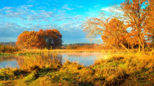 Otoño. Paisaje natural de otoño escénico en la mañana soleada. Amarillo —  Fotos de Stock