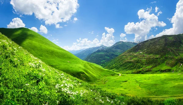 Valle de la montaña cubierta de hierba en Svaneti, Georgia. Escénicas colinas verdes i —  Fotos de Stock