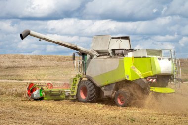 Buğday tarlasında hasat makinesini birleştirin. Tarım 