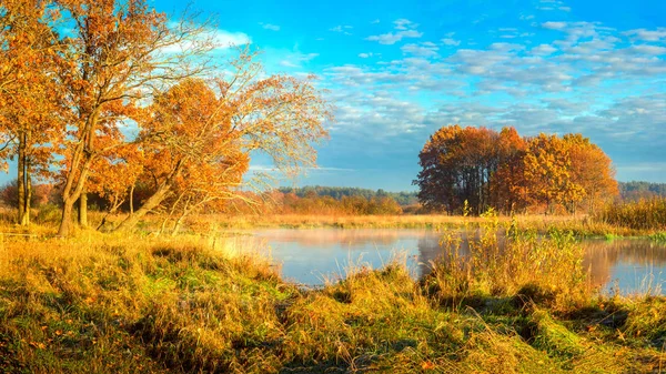 Paysage d'automne par temps ensoleillé. Nature dorée brillante sur le bord de la rivière — Photo