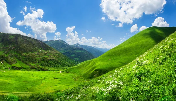 Hermoso valle de montaña verde. Escénicas montañas cubiertas de hierba. Verano —  Fotos de Stock