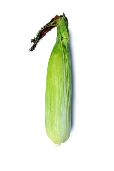 Groene maïs bedekt met bladeren geïsoleerd op wit — Stockfoto