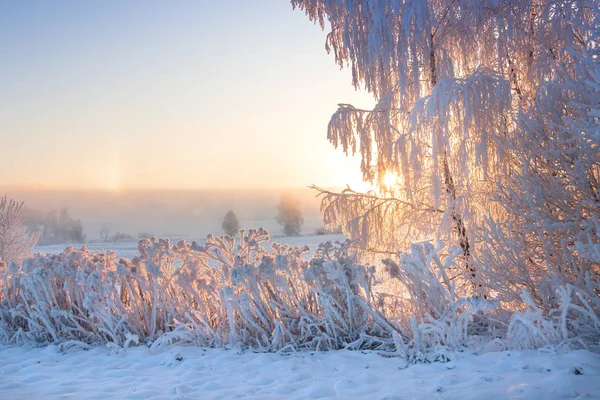 Рождественский фон Зимняя природа. Солнечное морозное зимнее утро — стоковое фото