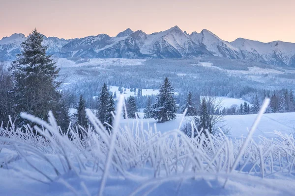 Şafakta kış dağları. Sabahları karlı manzaralı zirveler. Evet. — Stok fotoğraf