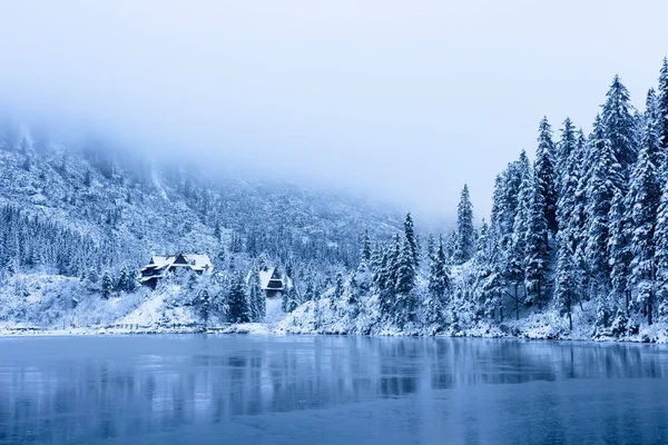 Kış doğası. Dağlardaki buzlu göl kıyısındaki karlı ağaçlar. Sceni — Stok fotoğraf
