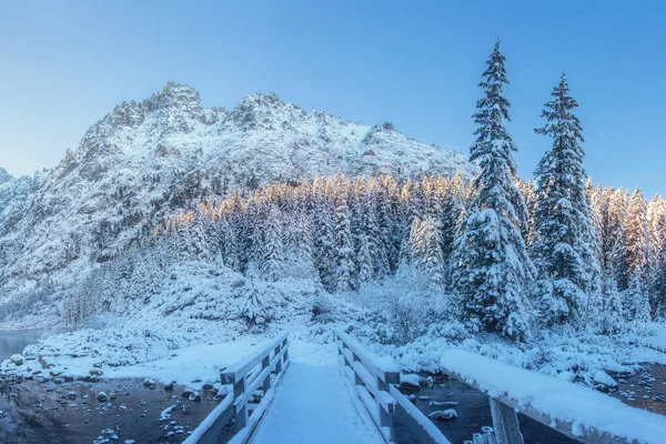 Belle montagne invernali in mattina chiara. Montagna innevata panoramica — Foto Stock