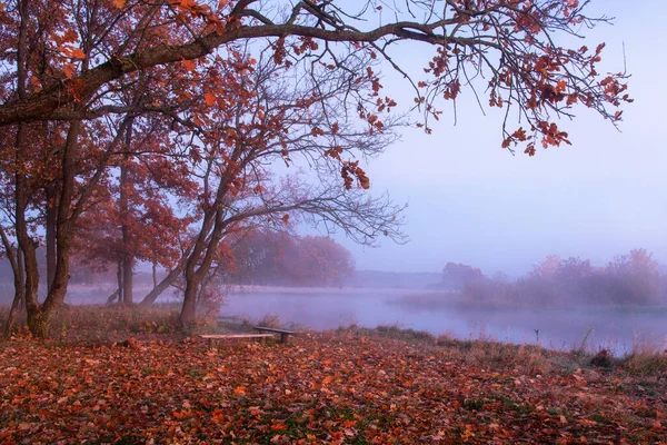 Ősz Gyönyörű Táj Őszi Napkelte Ködös Folyón Levelek Hullanak Fűre — Stock Fotó